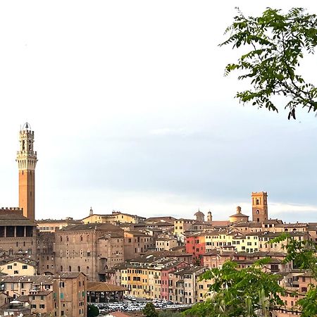 Ladyhouse Appartamento Tipico Con 4 Posti Letto Siena Exteriör bild